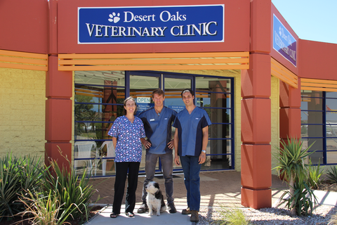 Desert Oaks Veterinary Clinic Pty Ltd - Vets Perth 5