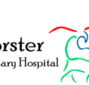 Forster Veterinary Hospital - Vets Perth