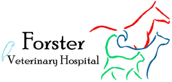 Forster Veterinary Hospital - Vets Perth 0