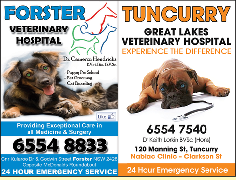 Forster Veterinary Hospital - Vets Perth 1