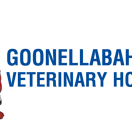 Goonellabah Veterinary Hospital - Vets Perth