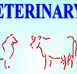 Gympie Veterinary Services - Vets Perth