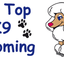 Hill Top K9 Grooming - Vets Perth