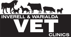  Vets Perth