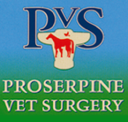 Jack Wall - Vets Perth