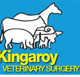 Kingaroy Veterinary Surgery - Vets Perth