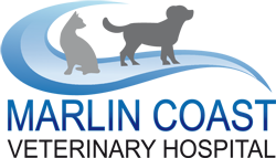 Cairns Northern Beaches QLD Vets Perth