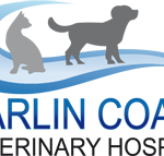 Marlin Coast Veterinary Hospital - Vets Perth