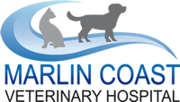 Marlin Coast Veterinary Hospital