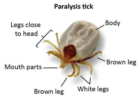 Mayfield Veterinary Hospital - Vets Perth 1