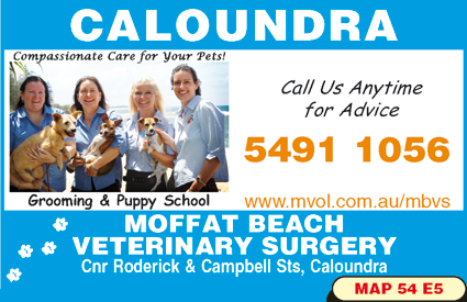 Moffat Beach Veterinary Surgery - Vets Perth 2