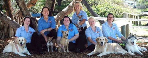 Moffat Beach Veterinary Surgery - Vets Perth 3