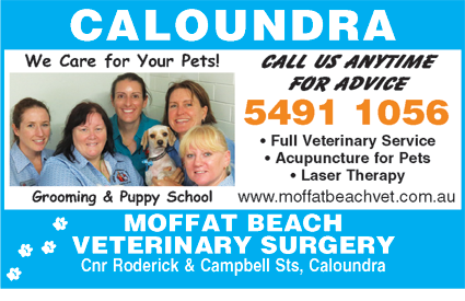 Moffat Beach Veterinary Surgery - Vets Perth 5