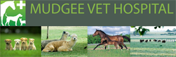 Hill End NSW Vets Perth