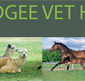 Mudgee Veterinary Hospital - Vets Perth