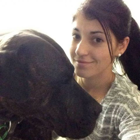 North Bundaberg Vet Surgery Pty Ltd - Vets Perth 4