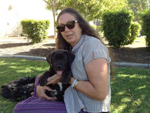 North Bundaberg Vet Surgery Pty Ltd - Vets Perth 5