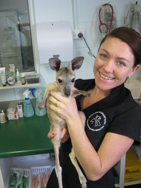 North West Veterinary Clinic - Vets Perth 4