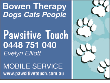 Pawsitive Touch - Vets Perth 1