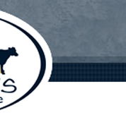 Meadows Veterinary Centre - Vets Perth