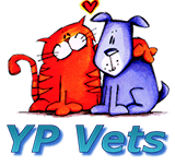 YP Vets - Vets Perth