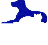 Dr Stephen Crouch Gawler South Small Animal Hospital - Vets Perth