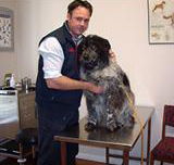 Sunbury All Creatures - Vets Perth