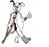 Richmond Veterinary Hospital - Vets Perth