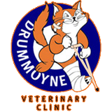 Drummoyne Veterinary Clinic - Vets Perth