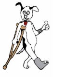 Wilberforce Veterinary Hospital - Vets Perth 0