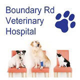 Lugarno NSW Vets Perth