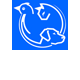 Croydon Park Veterinary Clinic  Boarding Cattery - Vets Perth