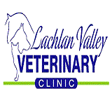 Lachlan Valley Veterinary Clinic - Vets Perth 0