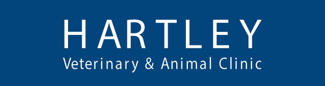 Hartley NSW Vets Perth