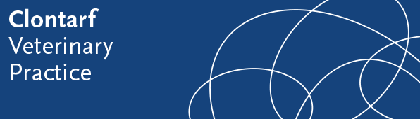 Woody Point QLD Vets Perth