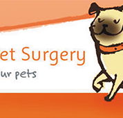 High Street Vet Surgery - Vets Perth