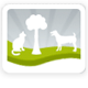 Acacia Animal Care Holistic Vet Herbal Medicine Acupuncture Reiki Homeopathy Structural Balancing Nutrition - Vets Perth