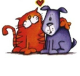 Raceview Veterinary Surgery. - Vets Perth