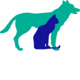 Pine Mountain Vet Clinic - Vets Perth