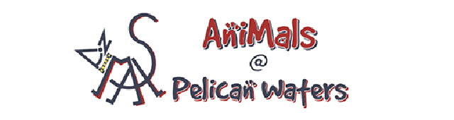 Caloundra Bc QLD Vets Perth