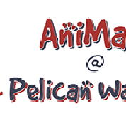 AniMals  Pelican Waters - Vets Perth