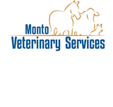MontoVet Surgery - Vets Perth