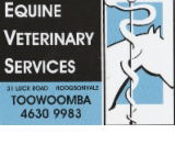 Equine Veterinary Services - Vets Perth