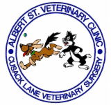 Albert Street Veterinary Clinic - Vets Perth