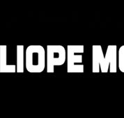Calliope Mobile Vet - Vets Perth