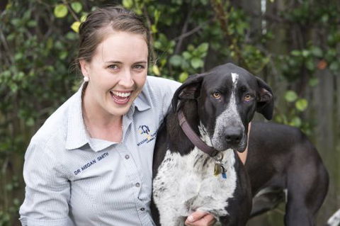 Stabler & Howlett Veterinary Surgeons - Vets Perth 16