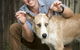 Stabler & Howlett Veterinary Surgeons - thumb 18