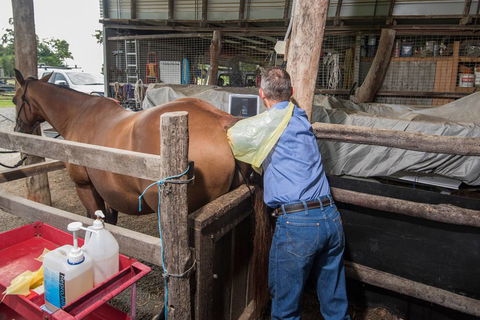Stabler & Howlett Veterinary Surgeons - Vets Perth 21