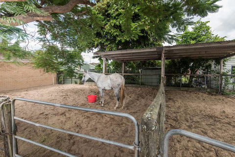 Stabler & Howlett Veterinary Surgeons - Vets Perth 22