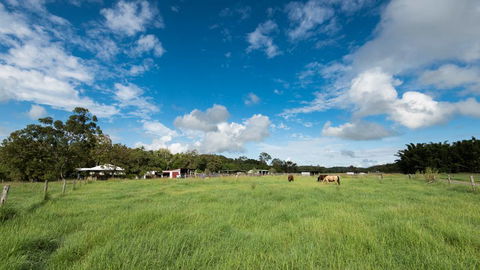 Stabler & Howlett Veterinary Surgeons - Vets Perth 24